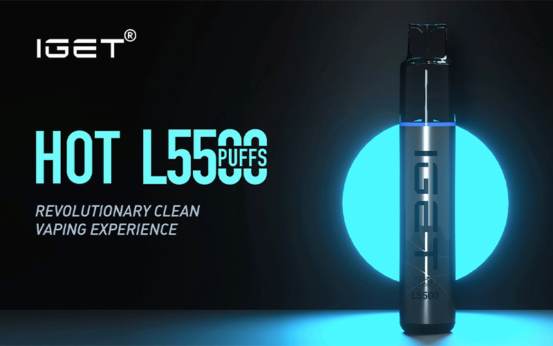 IGET Hot Vape 5500 Puffs Device